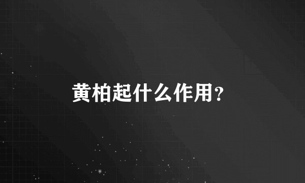 黄柏起什么作用？