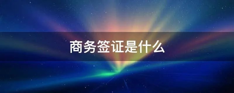 商务签证是什么