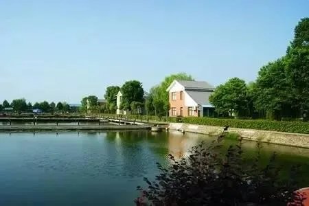 仙桃怎么样