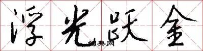 浮光跃金