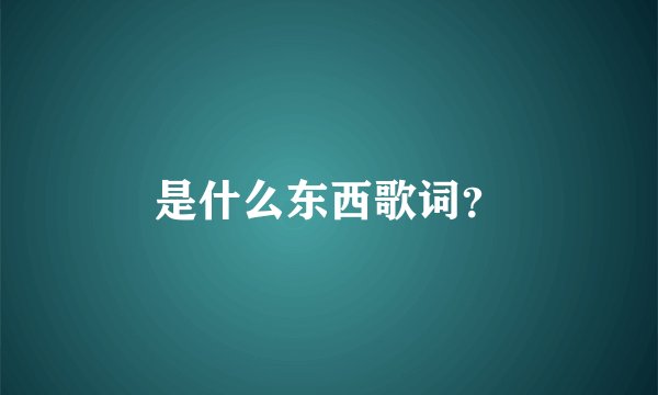 是什么东西歌词？