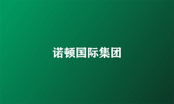 诺顿国际集团