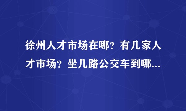 徐州人才市场在哪？有几家人才市场？坐几路公交车到哪站下？我说的是现场招聘的。