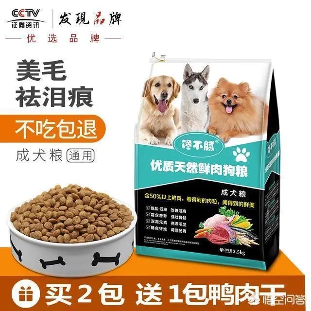 如果把狗狗自己放到陌生环境中