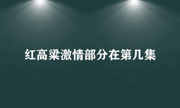 红高粱激情部分在第几集