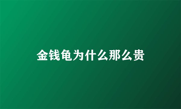 金钱龟为什么那么贵