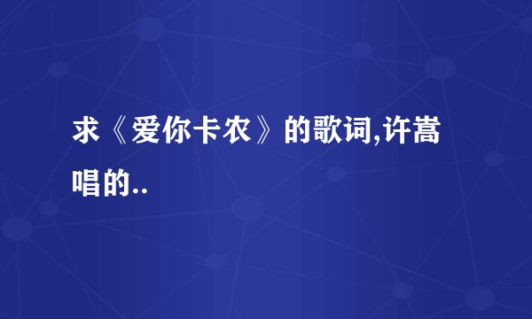 求《爱你卡农》的歌词,许嵩唱的..