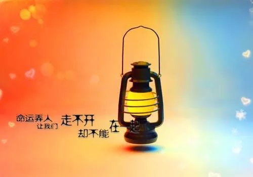 全城人都等我成寡妇免费阅读 秦安安傅时霆小说阅读