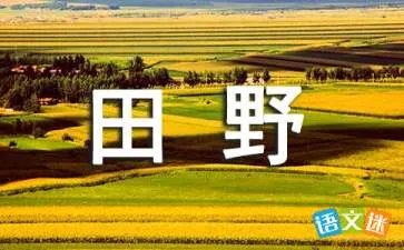 希望的田野