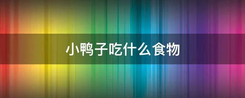 小鸭子吃什么食物