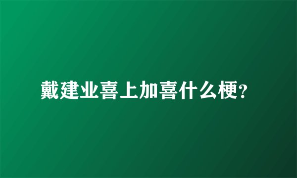 戴建业喜上加喜什么梗？