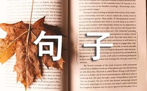 爱的句子有哪些