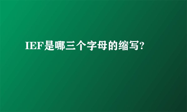 IEF是哪三个字母的缩写?