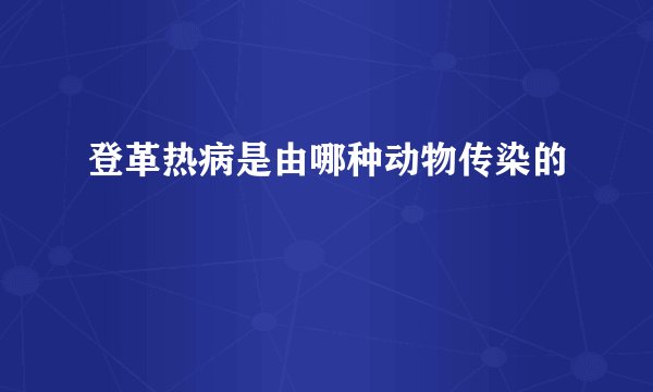 登革热病是由哪种动物传染的
