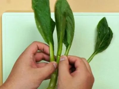 早餐做什么