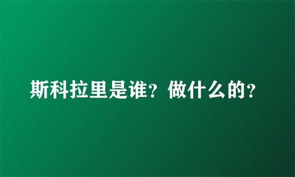 斯科拉里是谁？做什么的？