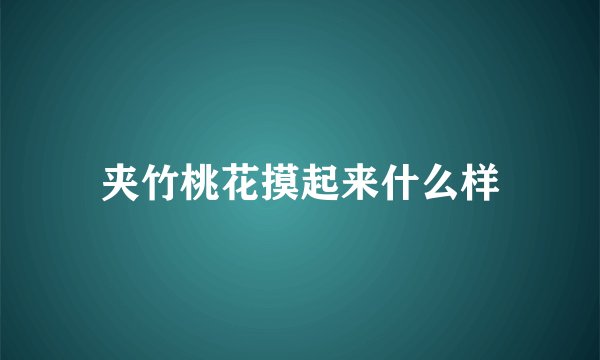 夹竹桃花摸起来什么样