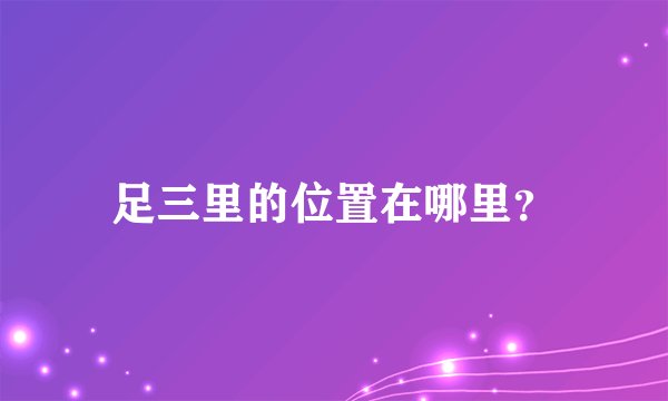 足三里的位置在哪里？
