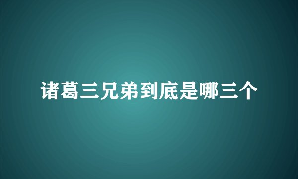 诸葛三兄弟到底是哪三个