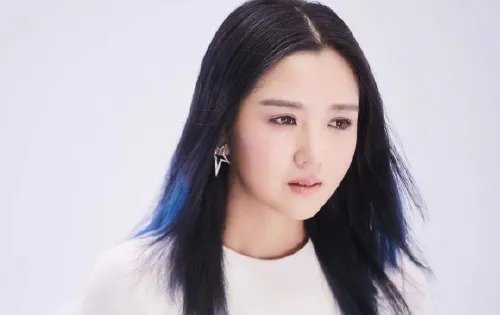 抹黑释小龙污蔑李宇春,一手好牌打稀烂,何洁现在怎么样了?