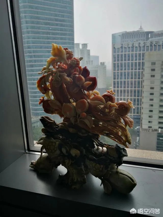上海纽约大学,怎样?