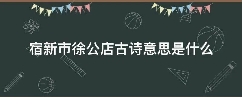 宿新市徐公店古诗意思是什么