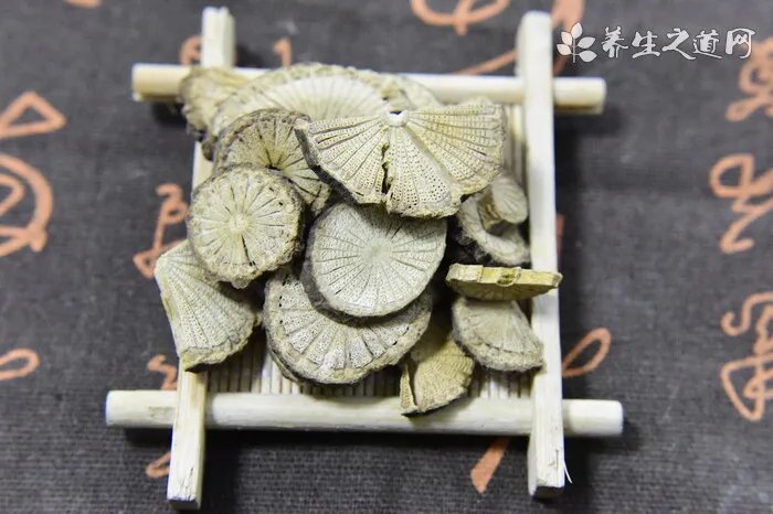 植物成为化石,需要哪些条件