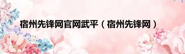 宿州先锋网官网武平（宿州先锋网）