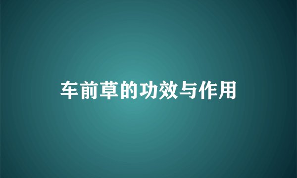 车前草的功效与作用