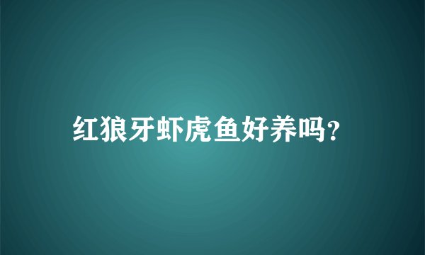 红狼牙虾虎鱼好养吗?