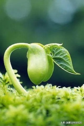 现在会有人劝年轻人凡事要趁早，你怎么看