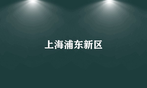 上海浦东新区