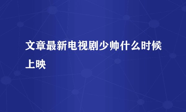 文章最新电视剧少帅什么时候上映