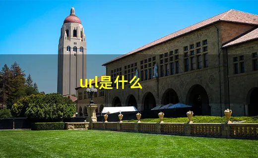 url是什么