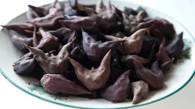 菱角怎么煮