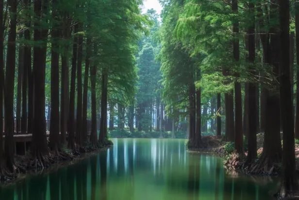 未来极端天气或更频繁 未来20年全球平均升温幅度或达1.5℃