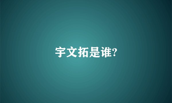 宇文拓是谁?