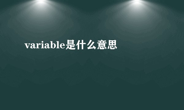variable是什么意思