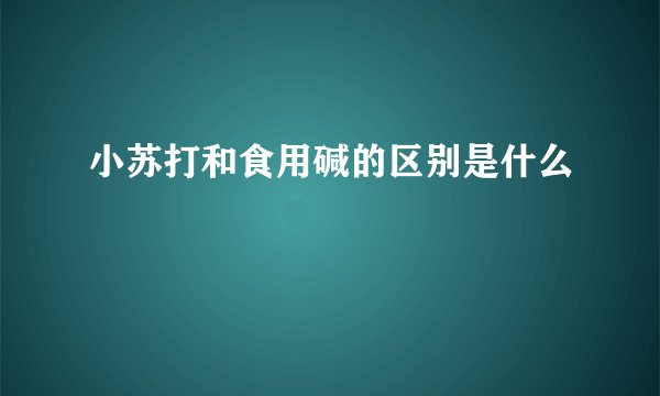 小苏打和食用碱的区别是什么