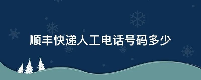 顺丰快递人工电话号码多少