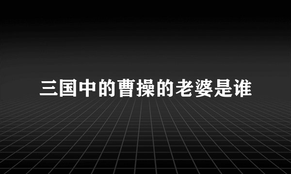 三国中的曹操的老婆是谁