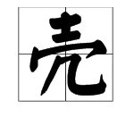 “壳”的组词有哪些?