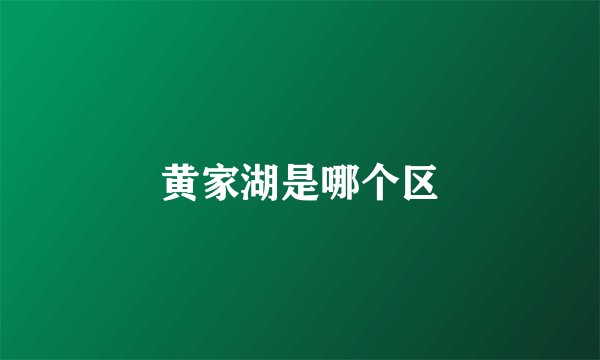 黄家湖是哪个区