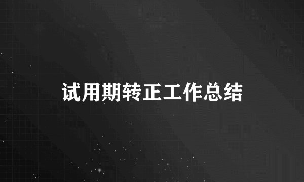 试用期转正工作总结
