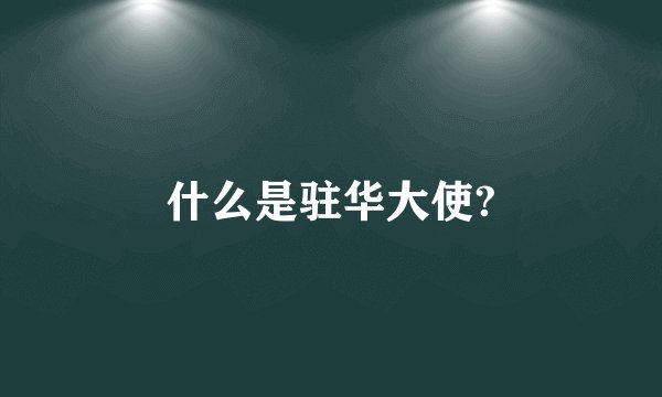 什么是驻华大使?