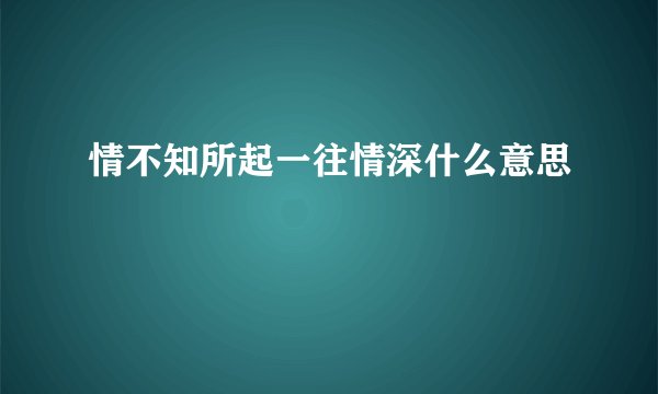 情不知所起一往情深什么意思