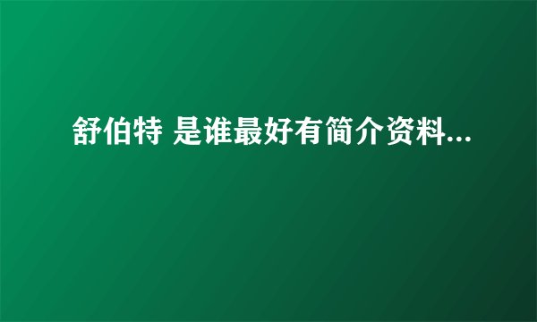 舒伯特 是谁最好有简介资料...