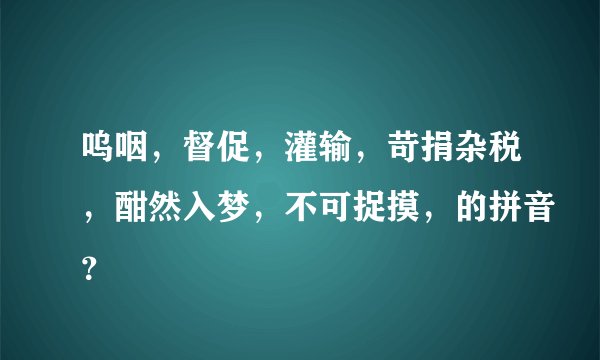 呜咽，督促，灌输，苛捐杂税，酣然入梦，不可捉摸，的拼音？