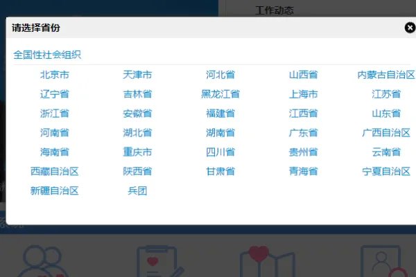 全国志愿服务信息系统官网