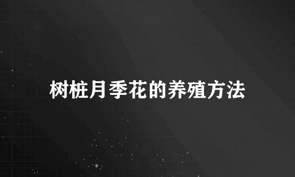 树桩月季花的养殖方法